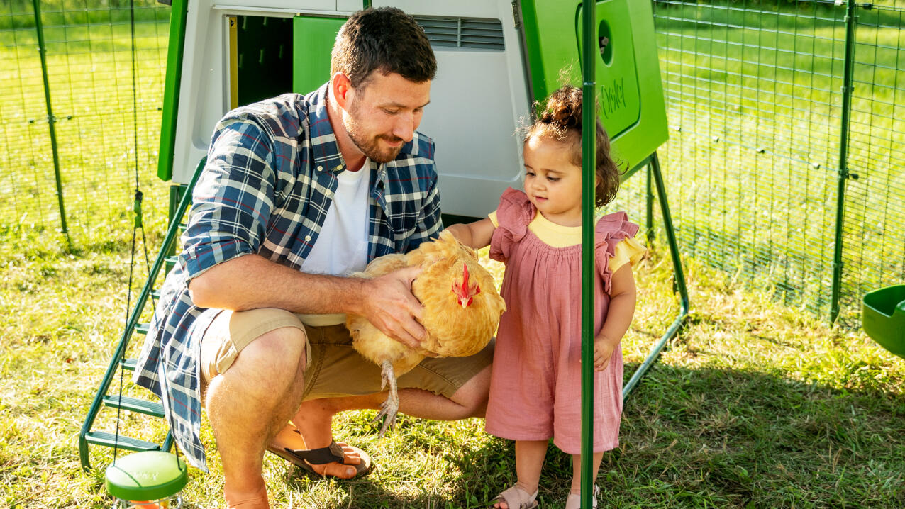 Mand med sin datter holder en høne i en hønsegård