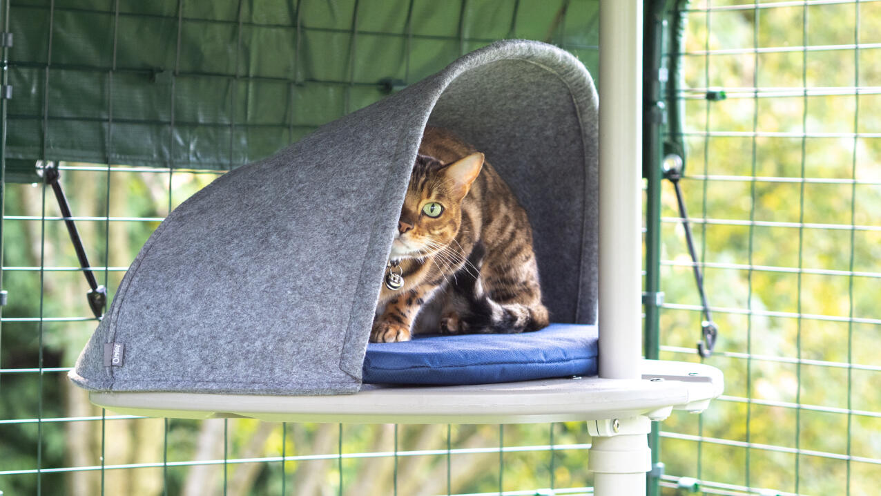 En kat hviler sig i platformen, der er fastgjort til det udendørs Freestyle kattetræ.