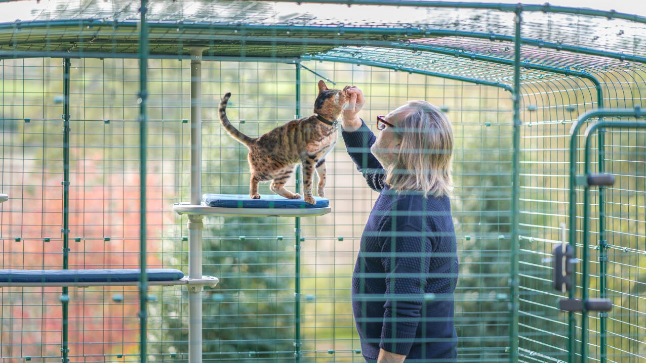 En mand tilbringer tid med sin kat på det udendørs Freestyle kattetræ.