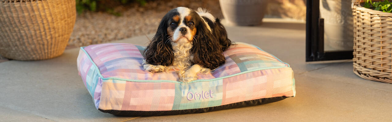 Spaniel sad på lille pude-hundeseng i prisme-kalejdoskop-print - en del af gardenia-kollektionen fra Omlet.