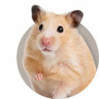 Hamsterguide