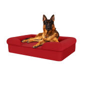 Hund sidder på merlot rød stor skumgummi bolster hund seng
