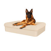 Hund sidder på naturlig beige stor skumgummi bolster hundeseng med hukommelse
