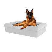 Hund sidder på sten grå stor skumgummi bolster hund seng