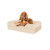Hund sidder på medium naturlig beige memory foam bolster hundeseng
