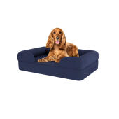 Hund sidder på medium midnight blue memory foam bolster hundeseng