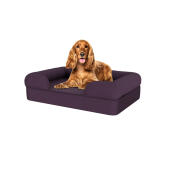 Hund sidder på medium plum lilla hukommelsesskum bolster hundeseng