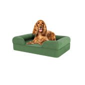 Hund sidder på medium salvie grøn memory foam bolster hundeseng