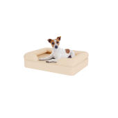 Hund sidder på en lille naturlig beige skumgummibolster hundeseng