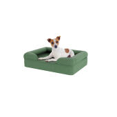 Hund sidder på lille salvie grøn memory foam bolster hundeseng