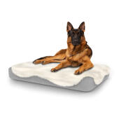 Hund sidder på en stor Topology hundeseng med fåreskind som top