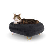Kat sidder på Maya donut katteseng i earl grey med Gold hairpin fødder