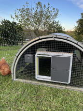 Automatisk kyllingedør
