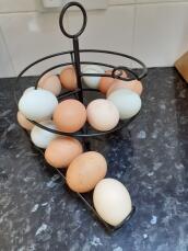 Ser fantastisk ud med alle vores forskellige farvede æg, en rigtig køkkenelement!