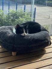 En kat, der hviler behageligt i sin grå donutformede seng