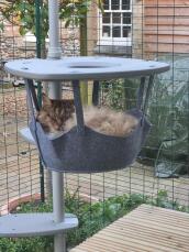 En fluffy kat, der hviler i hængekøjen i sit udendørs kattetræ