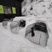 Tre Omlet Eglu Go kaninhytter i haven, der er dækket af Snow