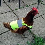 En meget smart high-vis jakke!