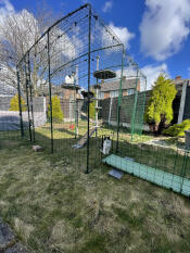 3/6 katte i catio