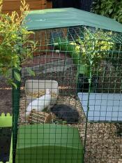 Kaniner i et kaninbur