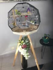 En grøn fugl i sit runde bur på et stativ