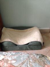 Omlet seng med pude af hukommelsesskum og blødt tæppe