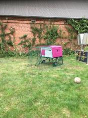 En lilla stor Eglu Cube hønsegård med tilhørende løbegård i en have