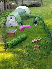 En kaninopsætning i en have med et grønt Go og en løbegård