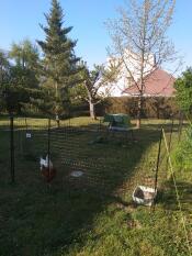 Et Go hønsehus bag et hønsehegn med to høns i en have