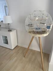 Fantastisk bur, gucci min kanariefugl elsker det!