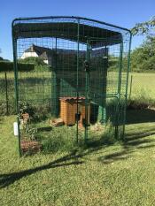 Omlet catio i haven