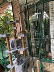 Omlet catio med kattetræ og kat i det
