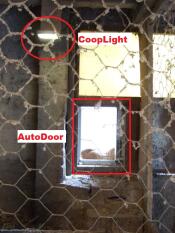 Coop light og Autodoor