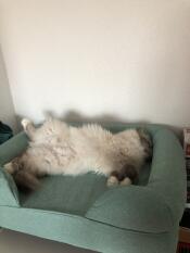 Orséis og hans sofa 