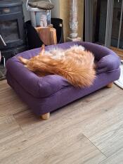 En kat, der sover i den lilla katteseng med bolster.