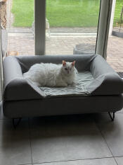 En fluffy hvid kat, der nyder sin store grå seng med en pude på toppen