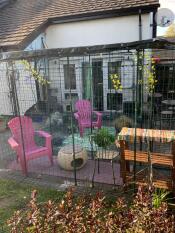 Fifi og hendes catio