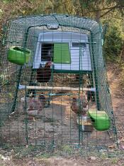 Til høns i en Cube hønsegård med tilhørende løbegård og foderautomat