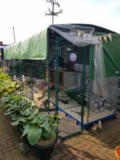 7x2x2 med Omlet covers