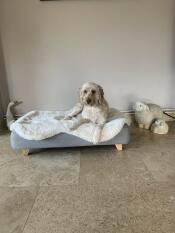 Henry elsker sin hundeseng, især pelsovertrækket! 