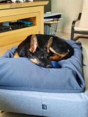 Louna komfortabelt installeret