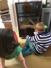 Børnene elsker at se deres nye kæledyr i deres Qute