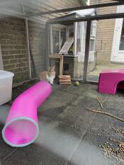 Legetunnel
