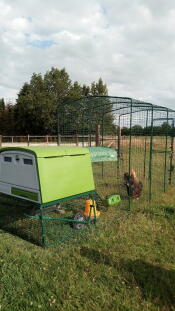 Et stort grønt Cube hønsehus med en tilknyttet løbegård