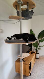 En kat, der hviler på platformen på sit indendørs kattetræ