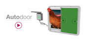  Autodoor billedet med en controller og en kylling, der træder ud