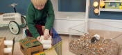 Lille dreng bygger paplegehus, mens hans hamster ligger i Qute bundbakken.