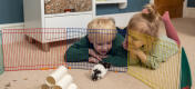 To børn ligger ned og ser på deres hamster i en farverig legegård.