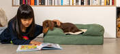Tilføj et tæppe til din hunds seng eller yndlingsplads for at skabe et hyggeligt og beroligende miljø for din hund.