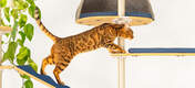 Klatring for katte Freestyle indendørs gulv til loft kattetræ